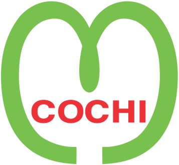 cochi.com.vn
